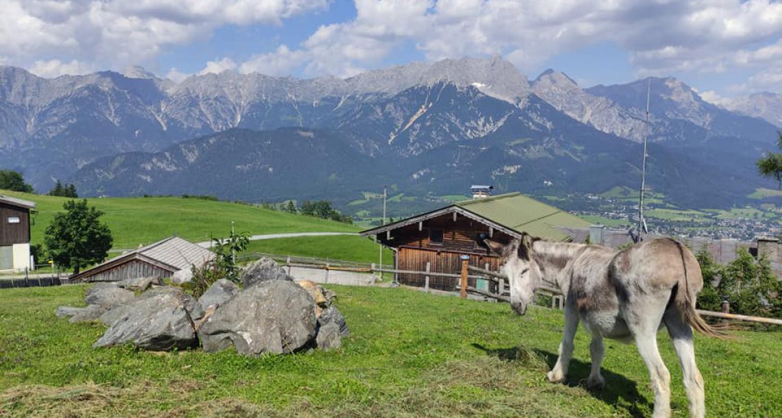 ​14 ימי טיול סוערים ומלאי הרפתקאות באוסטריה | המסלול של אשכר
