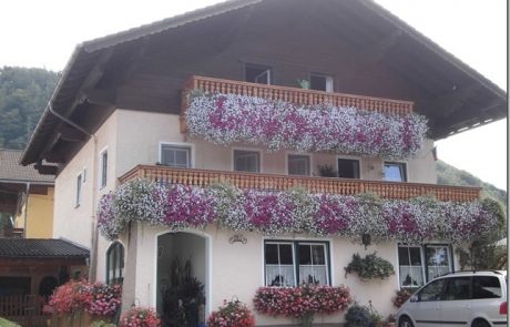 פנסיון Pension Lienbacher